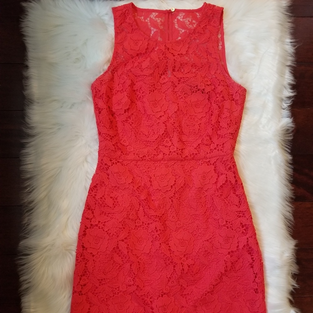 J CREW Collection Knee Length Lace Dress